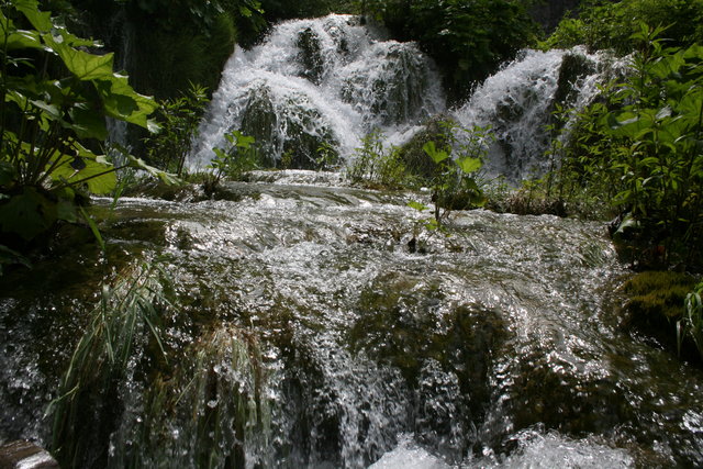 gal/cro 08/small-IMG_5615.JPG
